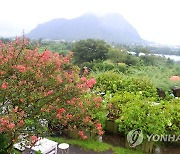 [날씨] 제주, 태풍 '찬투' 영향..최대 300mm 비