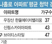 '나홀로아파트'라도 사두자..37가구 모집에 2300명 몰렸다