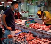 빚 내서 생산 늘렸는데..돼지 가격 폭락에 中축산업계 한숨
