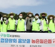 농협중앙회 홍보실-인천 중구농협, 수확기 일손돕기 앞장