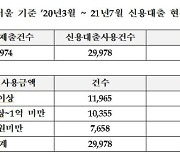 서울 주택 매수자 15% 신용대출 사용..평균 1억원 이상