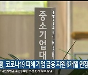 한국은행, 코로나19 피해 기업 금융 지원 6개월 연장