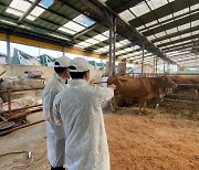 경기도, 비대면 '한우･젖소 경진대회' 개최