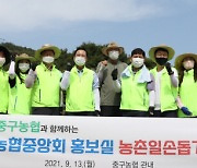 농협중앙회 홍보실-인천 중구농협, 수확기 일손돕기 앞장
