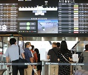 "해외여행 목말라".. '무착륙관광비행' 시행 9개월, 2만명 돌파