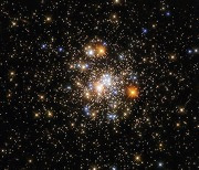 [우주를 보다] 우주에서 펼쳐진 불꽃놀이..구상성단 NGC 6717