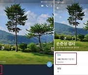 조성은 '손준성 보냄' 텔레그램 입증 자료 공개