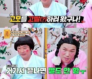 허재X김병현, '혹 형제' 컴백→안정환 질색 (안다행)