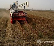 전북도, 논에 콩 심은 농가에 ㏊당 60만원 지원