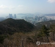 부산 해운대 장산 레이더 기지 유해성 검증에 주민 참여