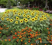 전남 정원 페스티벌 16일 개막..남악신도시서 19일까지