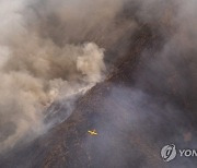 Spain Wildfire