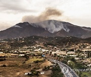 Spain Wildfire