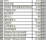 [표]코스피 외국인 연속 순매수 종목(13일)