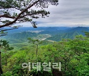 산림청, 이달의 추천 국유림 명품숲으로 '태화산 경관숲' 선정