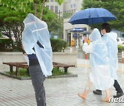 [오늘의 날씨] 광주·전남(14일, 화)..흐리고 비