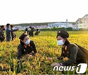 수해 복구 1년 뒤 고향 찾아온 북한 제대군인들