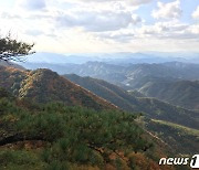 산림청 9월의 국유림 명품숲에 영월 '태화산 경관숲'