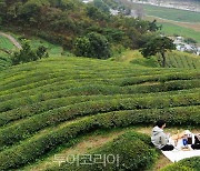 하동세계茶엑스포, 공식여행사 16개 업체 선정..관람객 유치 나서