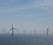 바람 때문에..유럽, 풍력발전량 감소에 에너지 가격 사상최고