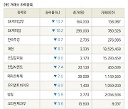 [fnRASSI]장마감, 거래소 하락 종목(SK케미칼우 -13.7% ↓)