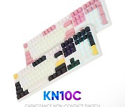 앱코,  특별한 컬러 조합의 텐키리스 무접점 키보드 'KN01C' 출시