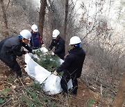 단양국유림관리소, 충청 동부권 소나무재선충병 확산 저지를 위해 머리를 맞댄다!