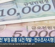 '탐나는전' 부정 유통 14건 적발..전수조사 시행