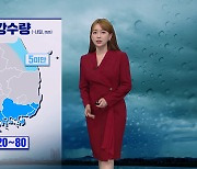 [뉴스9 날씨] 내일도 제주·전남·경남에 비..제주도 강풍 주의