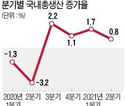 [숫자로 읽는 세상] 2분기 성장률 0.8%..실질 국민소득은 0.1% 증가 그쳐