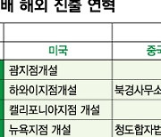 해외로 가는 국내 보험사..美·中·동남아 뚫을 전략은 '이것'