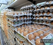 추석 일주일 앞두고 '계란값' 전년대비 19% 올랐다