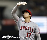 '오타니=MVP 확실' 아니라고? "끝난 것 아냐, 블게주 트리플크라운 근접"