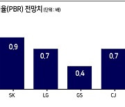 "지주사 실적 좋은데..개미들이 외면하네"