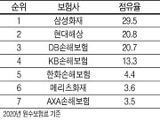 네이버·카카오 중단 '다이렉트 車보험'..중소형사 SOS 왜?