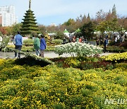 익산 '제17회 천만송이 국화축제' 10월 26일부터 개최