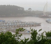 태풍 '찬투' 북상..폭우로 누렇게 변한 서귀포항