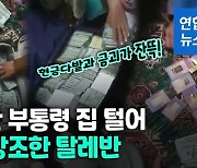 [영상] 현금 76억원·금괴 18개..아프간 전 부통령 집 턴 탈레반