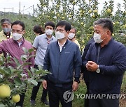 허태웅 농촌진흥청장, '2축형 수형재배' 적용한 사과농가 방문