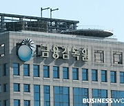 '사모펀드보다 더 위험'..금감원, 신기술조합투자 '경보'