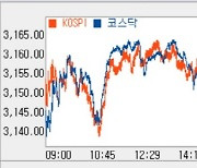 [코스피 마감]외인 홀로 순매수.. 강보합 속 '3150선'