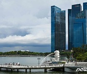 '백신 80% 접종' 싱가포르, 코로나19 확진 연일 최다