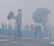 [오늘의 날씨]전북(15일, 수)..흐리고, 오후부터 강한 바람