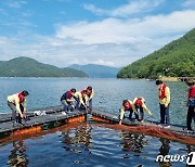 해수부, 경남 69개 어가에 1차 고수온 피해 복구비 20억 지원