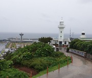 바다 보고, 차 마시고, 책 읽고.."제주항 '산지등대' 혼저옵서예"