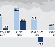 "대형주 너만은 믿었건만"..반도체 화학 이어 플랫폼 주가 급락에 동학개미 속탄다