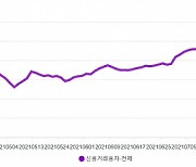 대형주 떨어지면 개미 '줍줍'..'빚투' 사상 최고치 또 경신