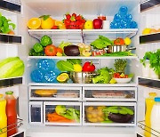 "냉장고에 넣지 마세요".. 가을철, 실온 보관하면 좋은 식재료 7가지