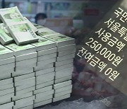 [단독] "공지도 없이 싹 빼가나"..재산세로 나간 지원금