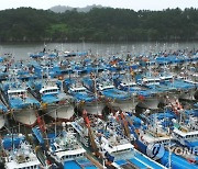 태풍 '찬투' 북상..대피한 어선들